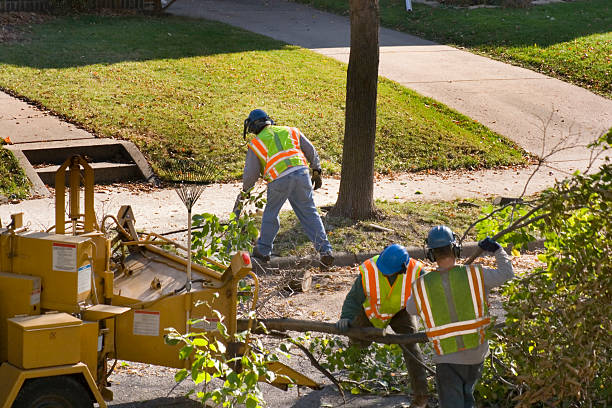 Best Lawn Mowing Services  in Richmond, CA